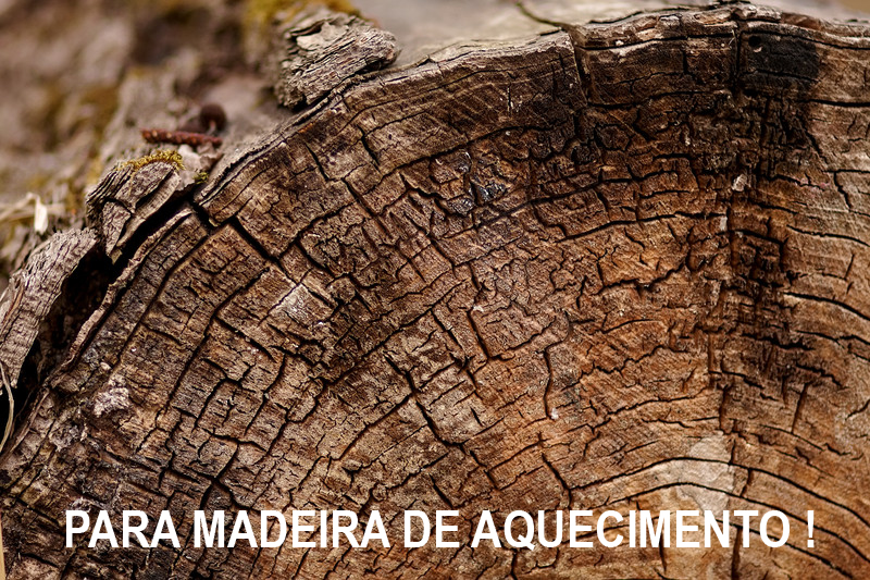 Tratamento preventivo de toros e t&aacute;buas. Antirrachas, antifendas, antiazulamento, antiescurecimento. Pronto a utilizar. iBiotec BIO PROTECT 450. Tratamento de madeira. Antirrachas em madeira. Antifendas em madeira. Antiazulamento em madeira. Antiescurecimento em madeira. Transforma&ccedil;&atilde;o de madeira. Primeira transforma&ccedil;&atilde;o de madeira